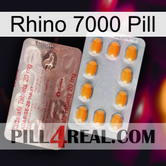 Rhino 7000 Pill new13